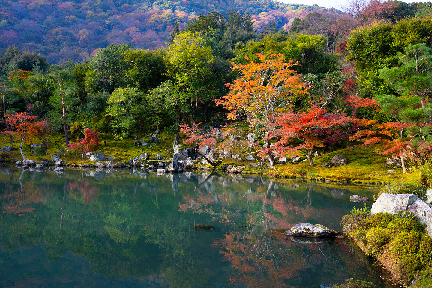 A las afueras de Kioto, el templo Tenryū-ji se convierte en un imán para quienes buscan vivir el cambio de estación en todo su esplendor.