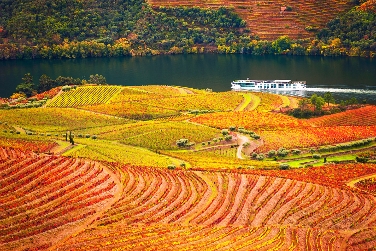 El Valle del Duero es un destino ideal para recorrer en otoño, cuando los viñedos cambian de color y crean un paisaje único.