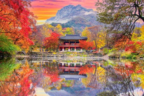 Los mejores lugares para ver el cambio de hojas este otoño 2025