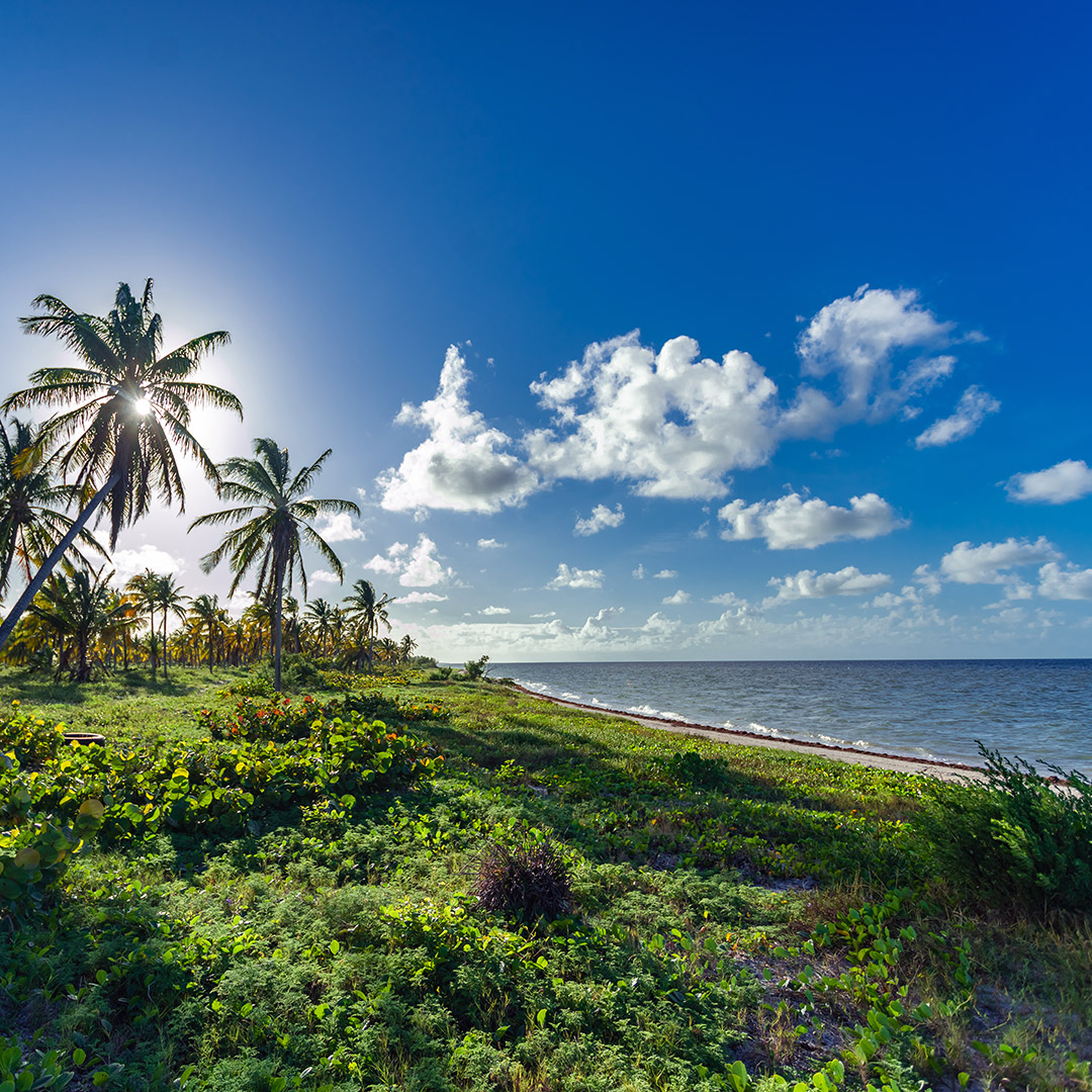yucatán playas