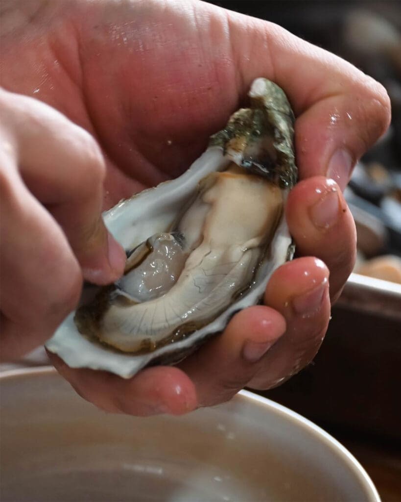 Baja Shellfish Farms