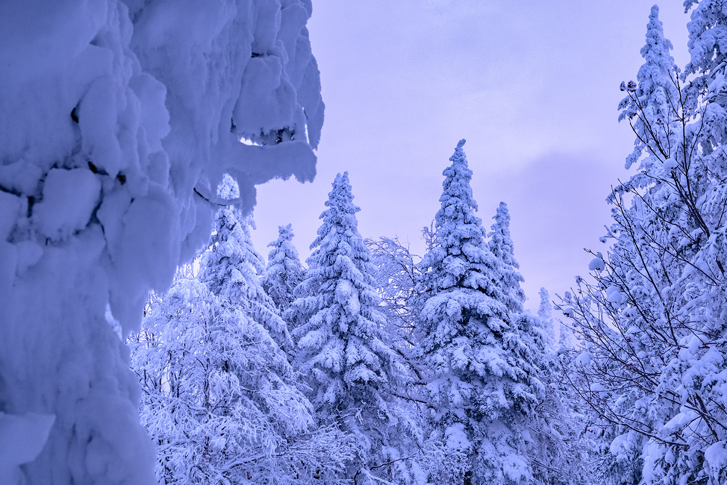 Invierno en Mont-Tremblant
