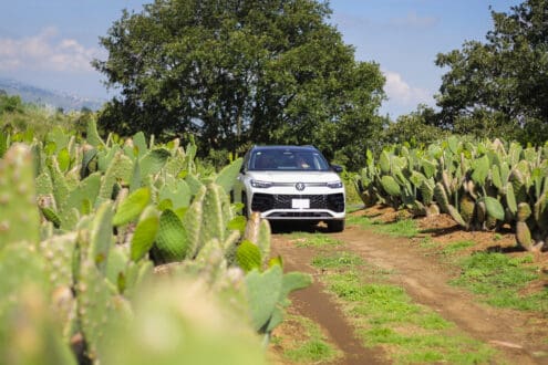 Descubre cuál es el verdadero camino hacia la cocina sustentable