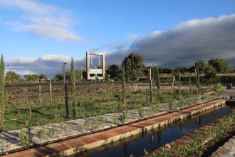 Ruta del queso y el vino en Querétaro: 8 paradas para brindar con historia y sabor