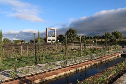 Ruta del queso y el vino en Querétaro: 8 paradas para brindar con historia y sabor
