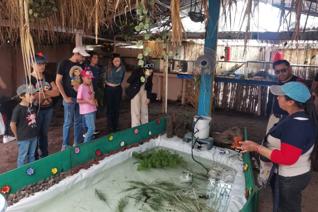 Tour de Día de Muertos en Xochimilco