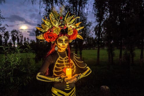 Mira chinampas llenas de cempasúchil en este tour de Día de Muertos en Xochimilco