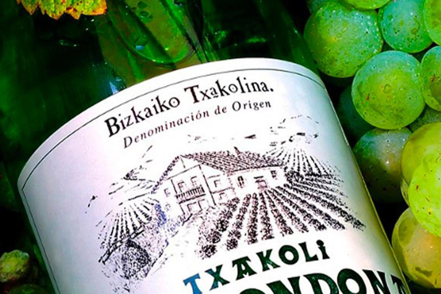 Txakoli_3