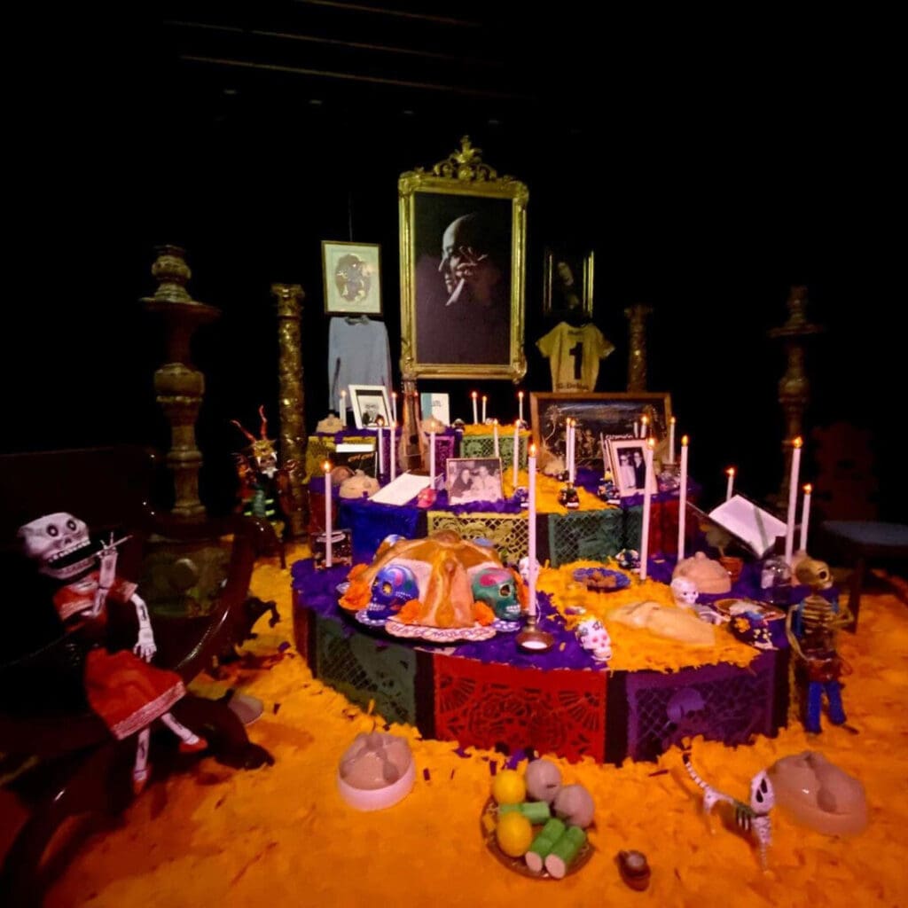 Sumérgete en la magia del Día de Muertos en el pintoresco barrio de San Ángel a bordo del Ecobús 800.
