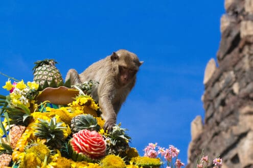 Las 5 celebraciones extrañas más sorprendentes del planeta