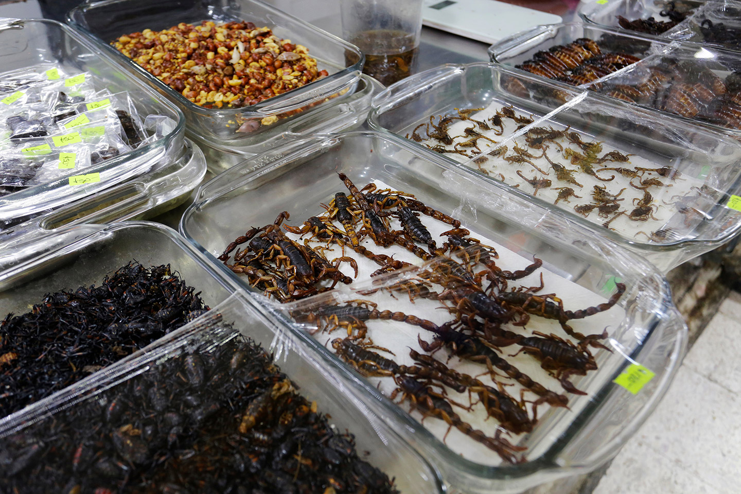 El Mercado de San Juan, famoso por su selección gourmet, se ha convertido en el punto de encuentro para quienes buscan sabores fuera de lo común.