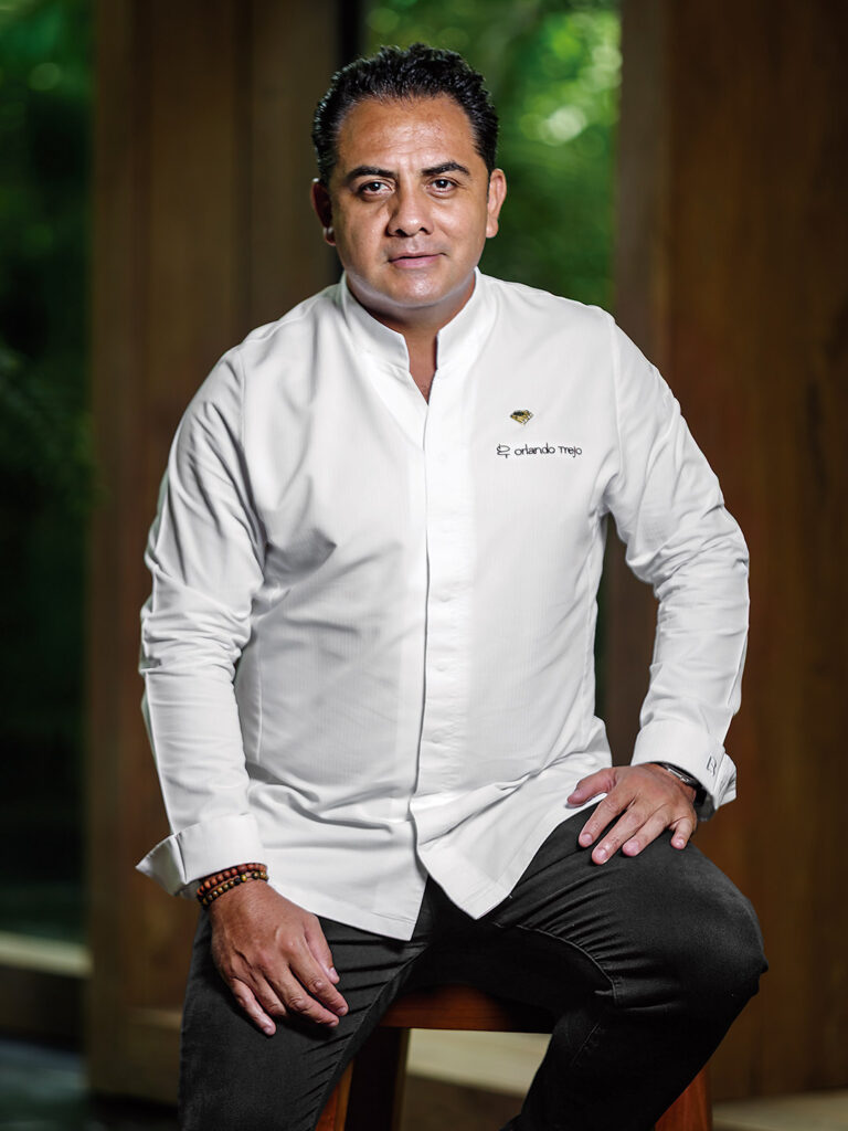 Festival Gastronómico 5 de 50