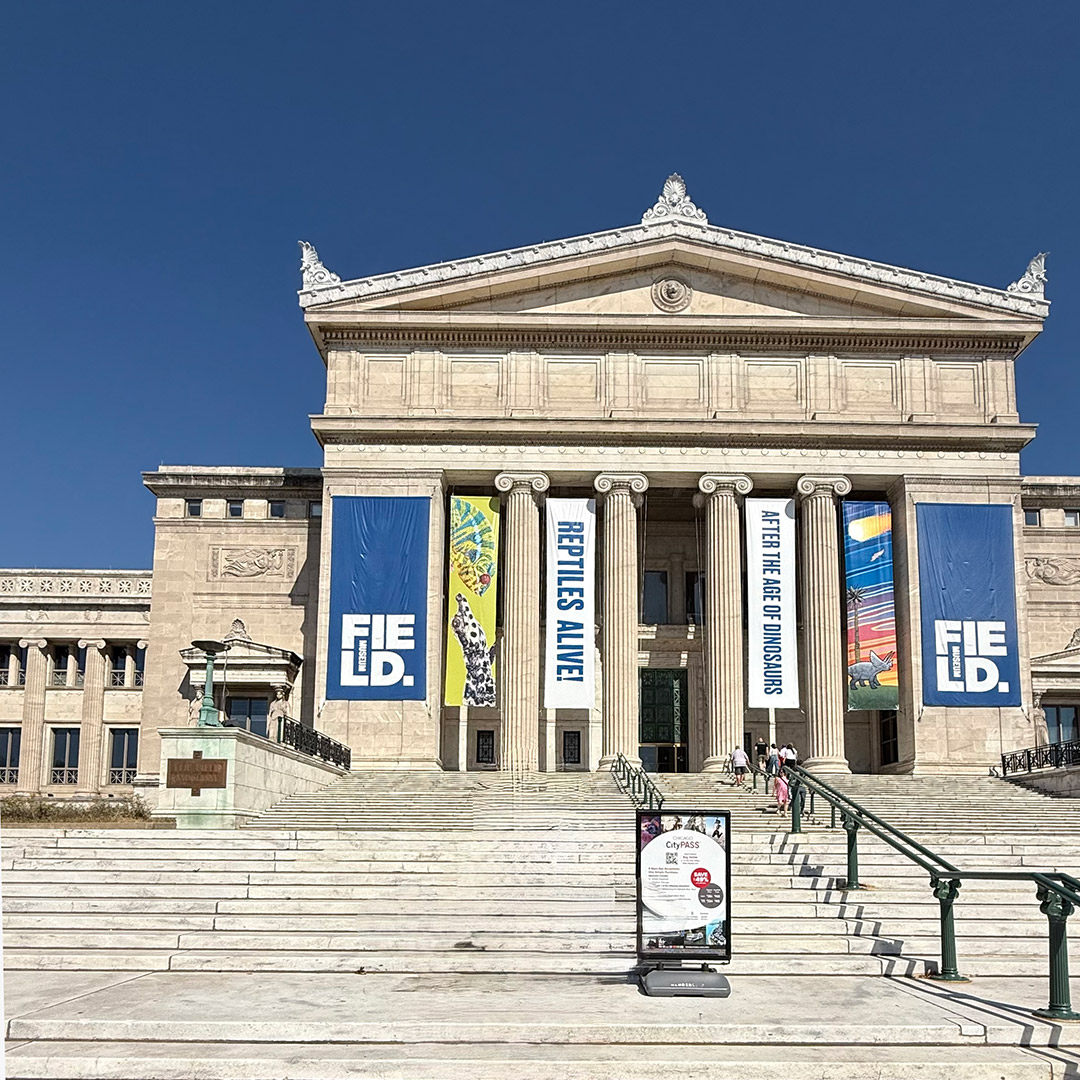 cosas que hacer en Chicago, museos
