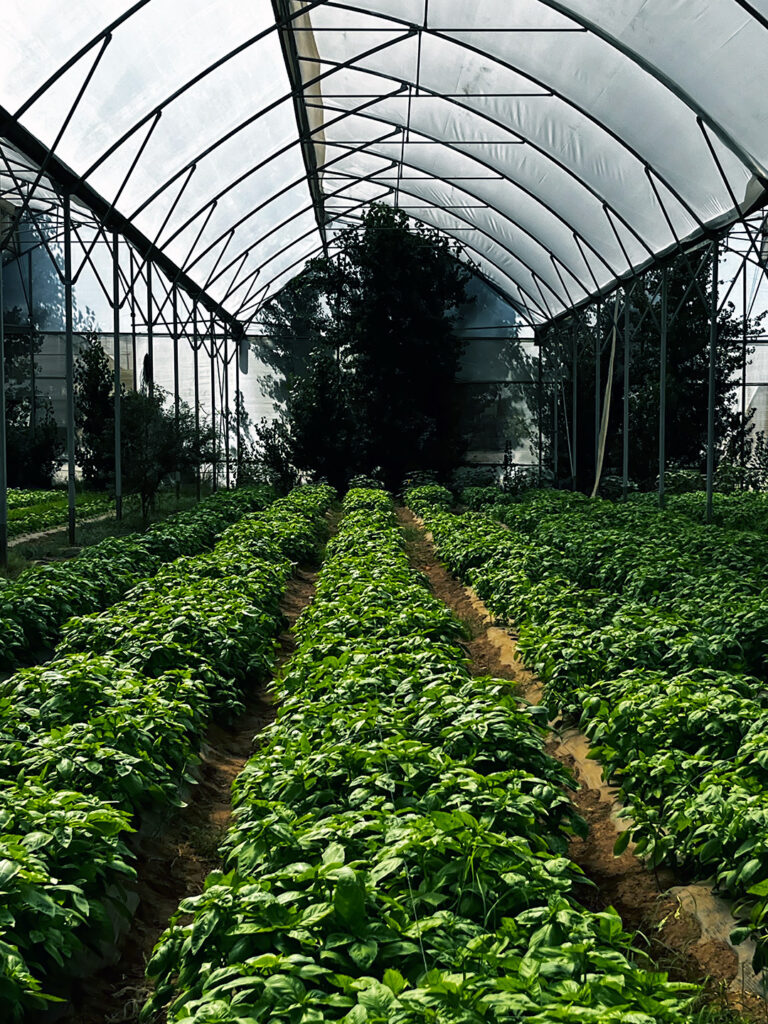 productores de Ensenada y restaurantes de Valle de Guadalupe