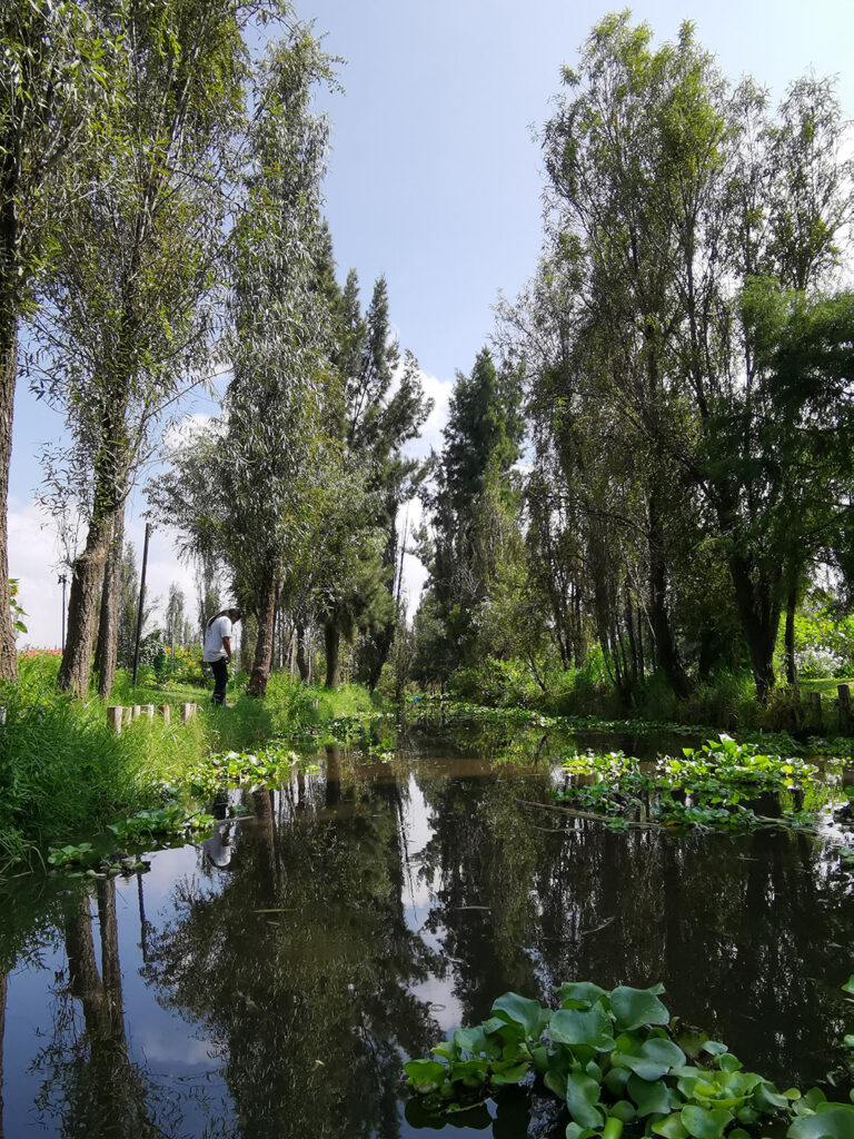 Chinampas de Xochimilco