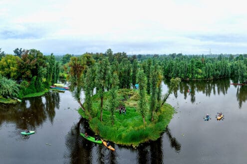 Chinampas vivas: restauración y sabores ancestrales de Xochimilco