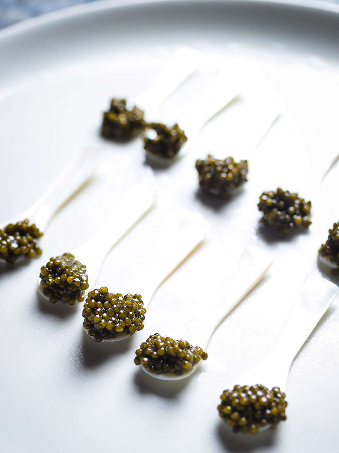 Festival Gastronómico 5 de 50