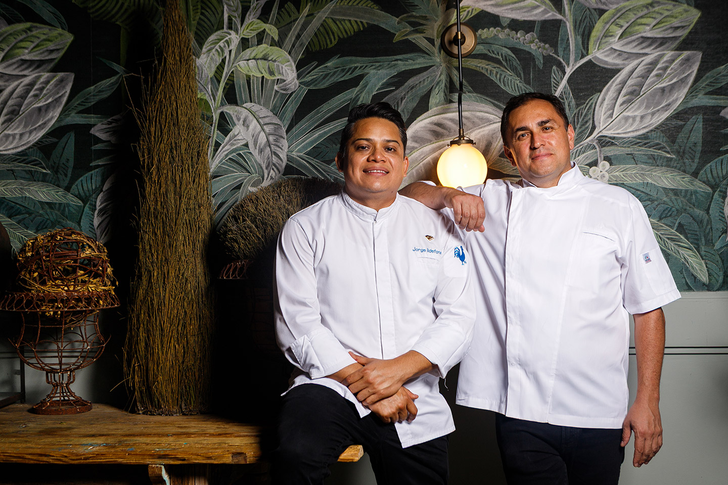 Festival Gastronómico 5 de 50