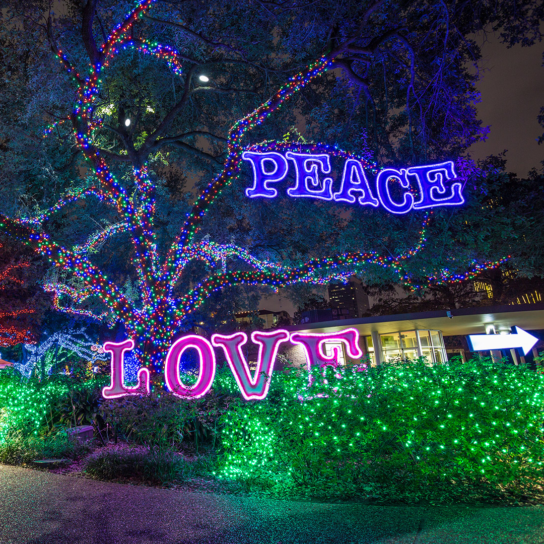 Navidad en Houston