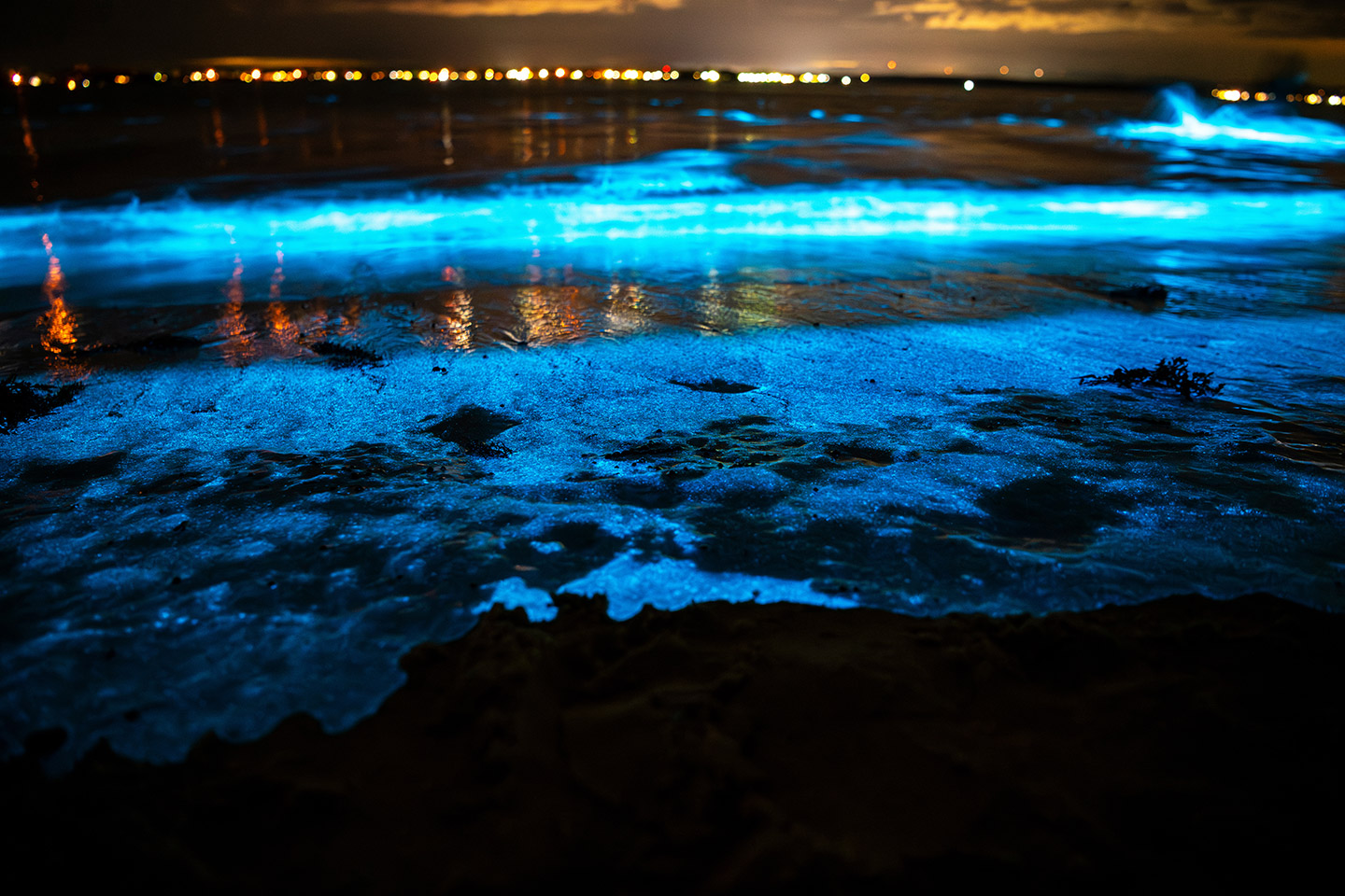 Playas_bioluminiscentes_Mismoloya Mismaloya, Jalisco