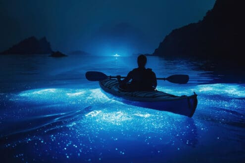 4 playas bioluminiscentes en México para visitar de noche