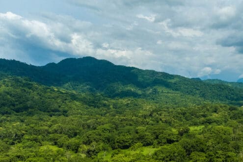 Así es Teapa, Tabasco, ciudad natal de Miss Universo Fátima Bosch