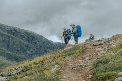 Reconectar con la naturaleza: un camino que inicia hacia el interior