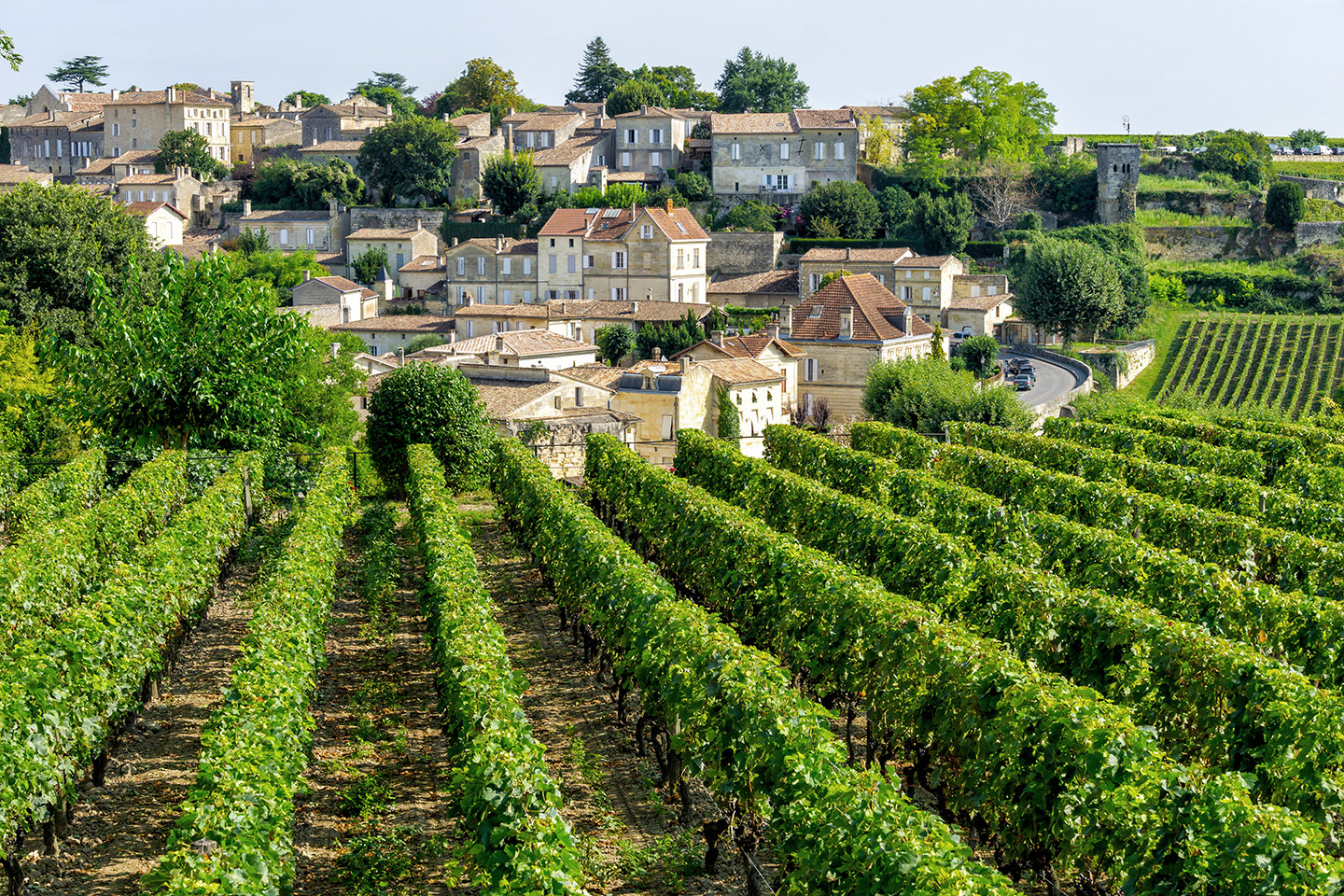 Elegancia y tradición definen a Burdeos, una de las capitales mundiales del vino.