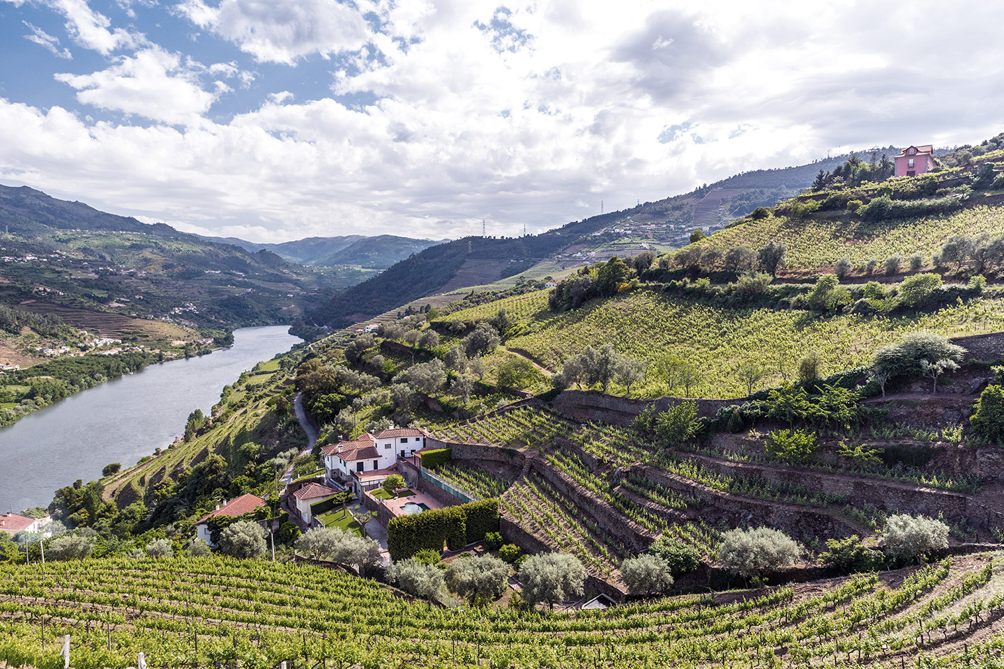 El Valle del Douro es Patrimonio Mundial de la UNESCO.