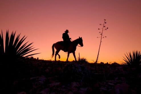 Jalisco estrena dos nuevas rutas del tequila que debes conocer