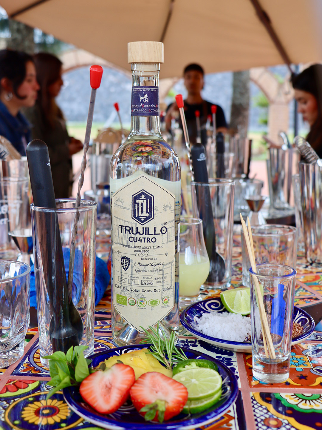 rutas del tequila
