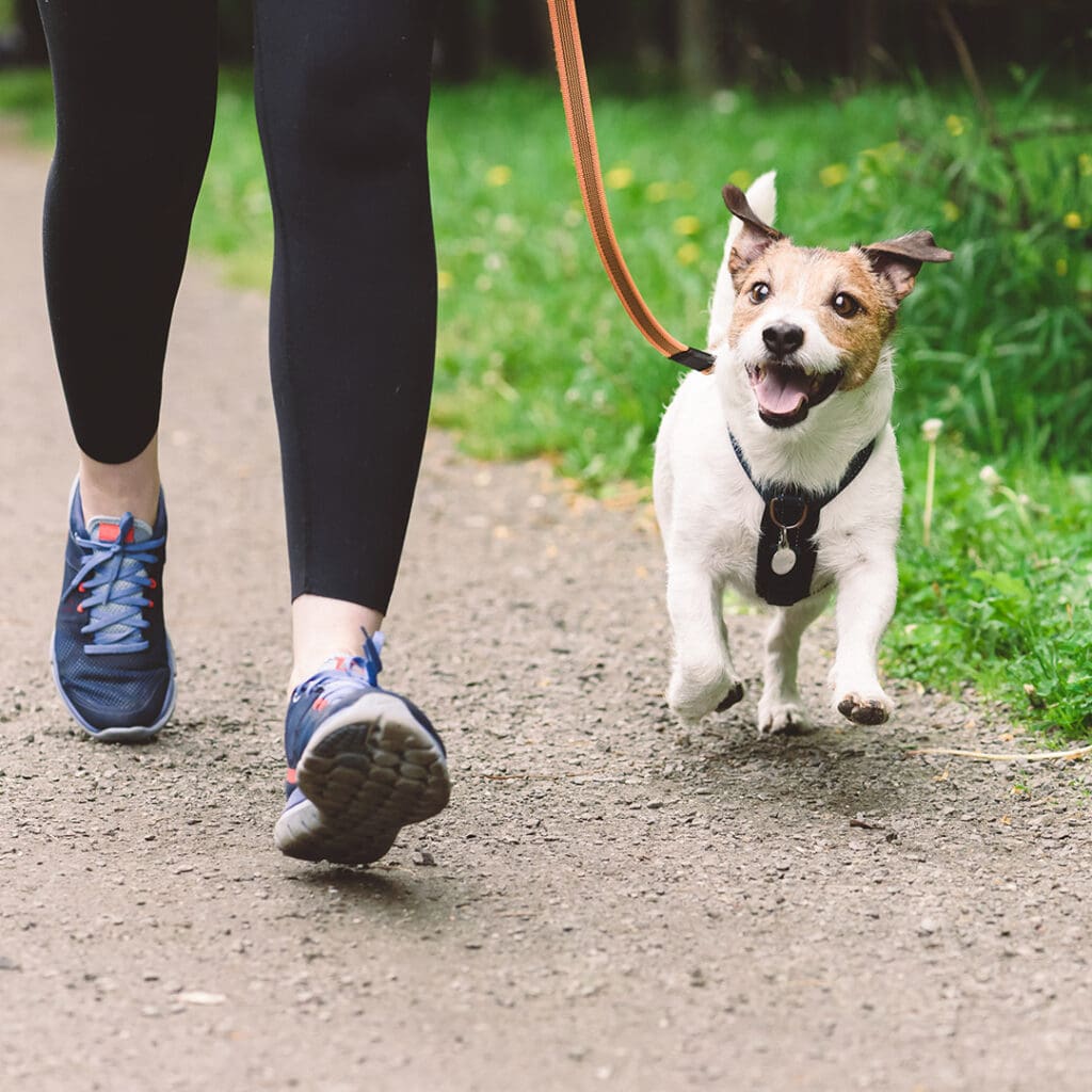 parques petfriendly