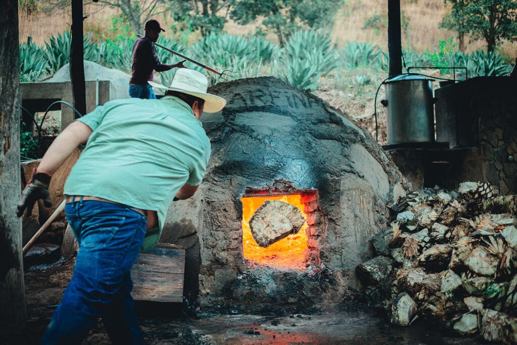 A diferencia de otros destilados del país, la Raicilla sigue produciéndose en pequeñas escalas.