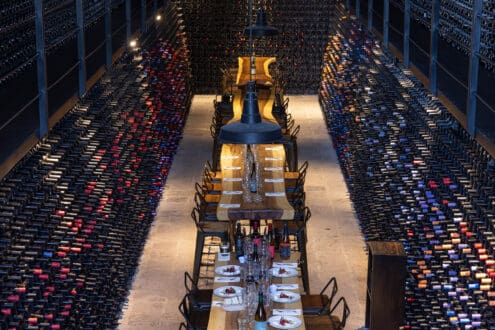 Los mejores viñedos para visitar en San Miguel de Allende