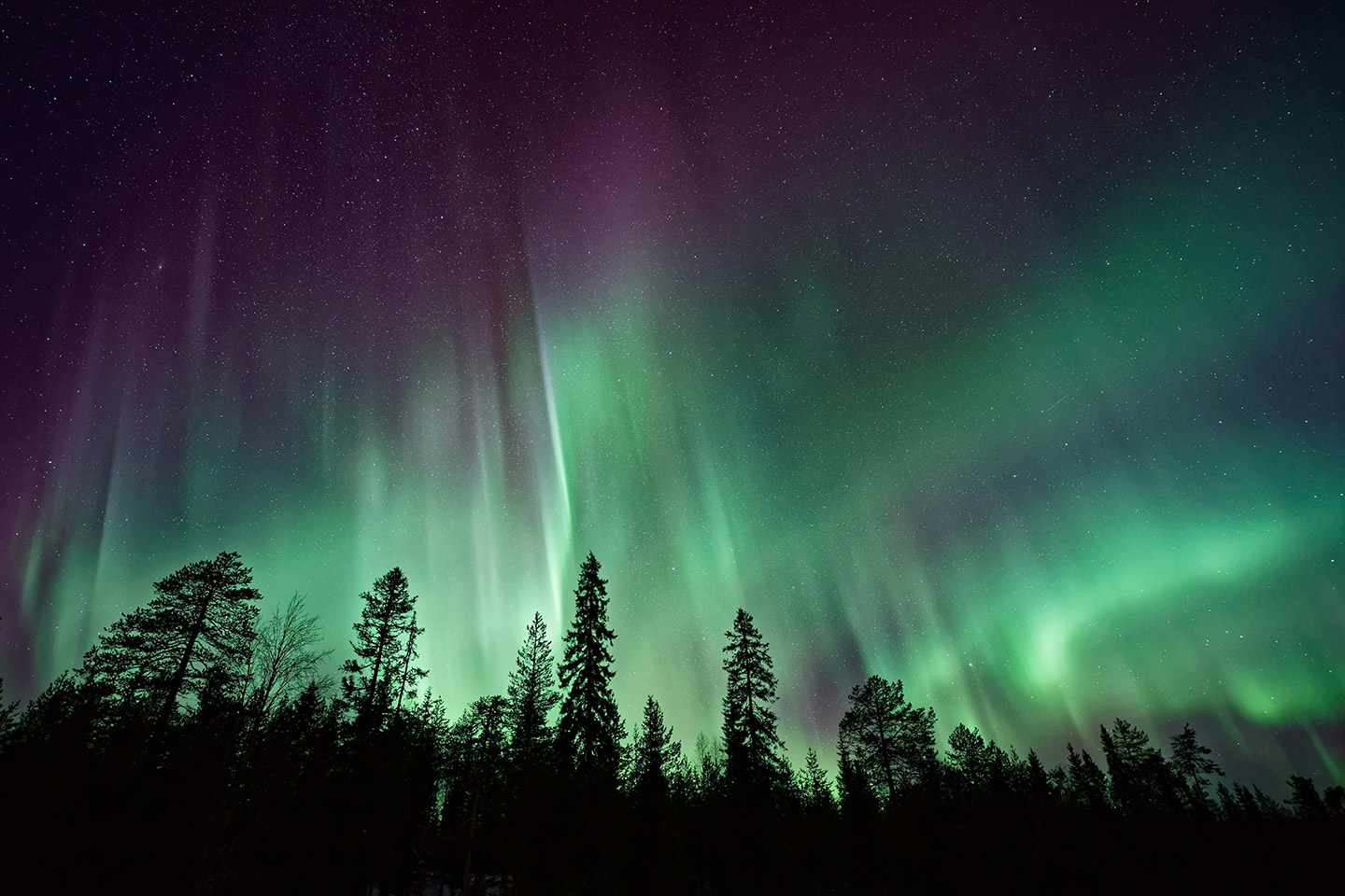 auroras boreales 2026