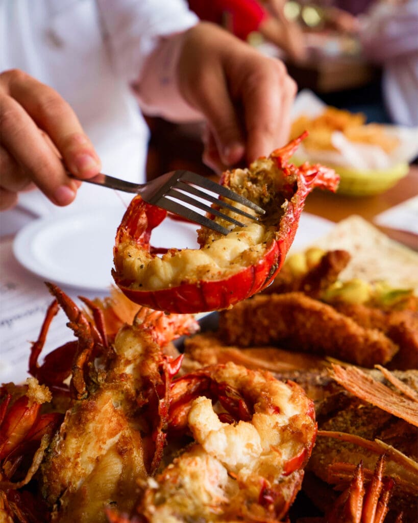 Qué comer y disfrutar en Baja California
