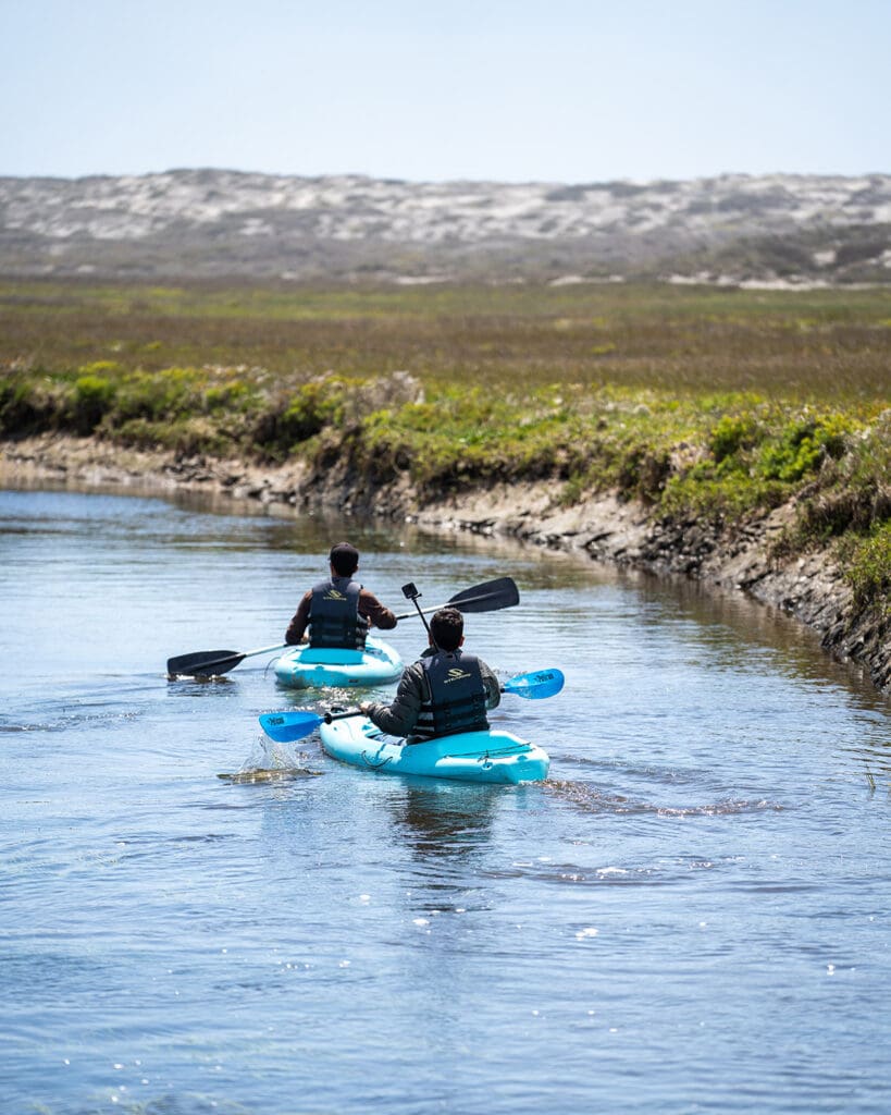 Qué comer y disfrutar en Baja California