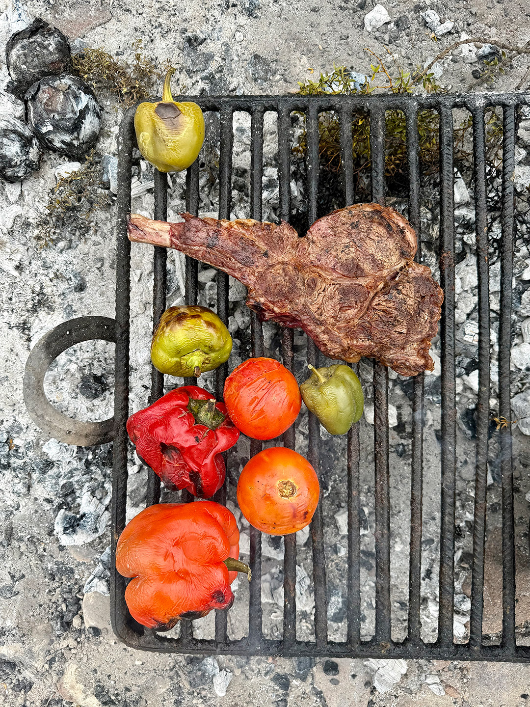 Casa_de_Uco_parrilla