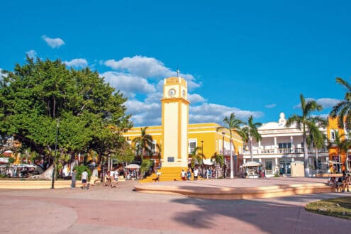 Estas son las maravillas naturales de Cozumel que pocos conocen