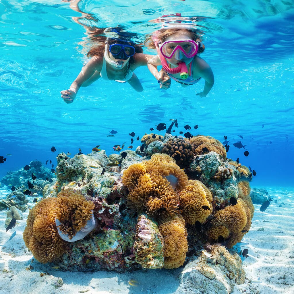 Cozumel_ecoturismo_esnorquel Los tours incluyen guía y todo el equipo.