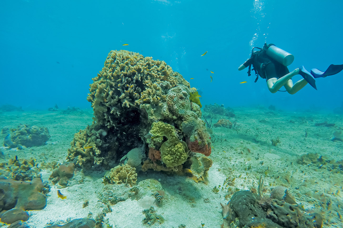Cozumel apuesta por un turismo responsable.