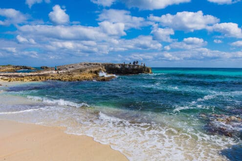 Cozumel, paraíso en acción: cómo la isla protege su naturaleza