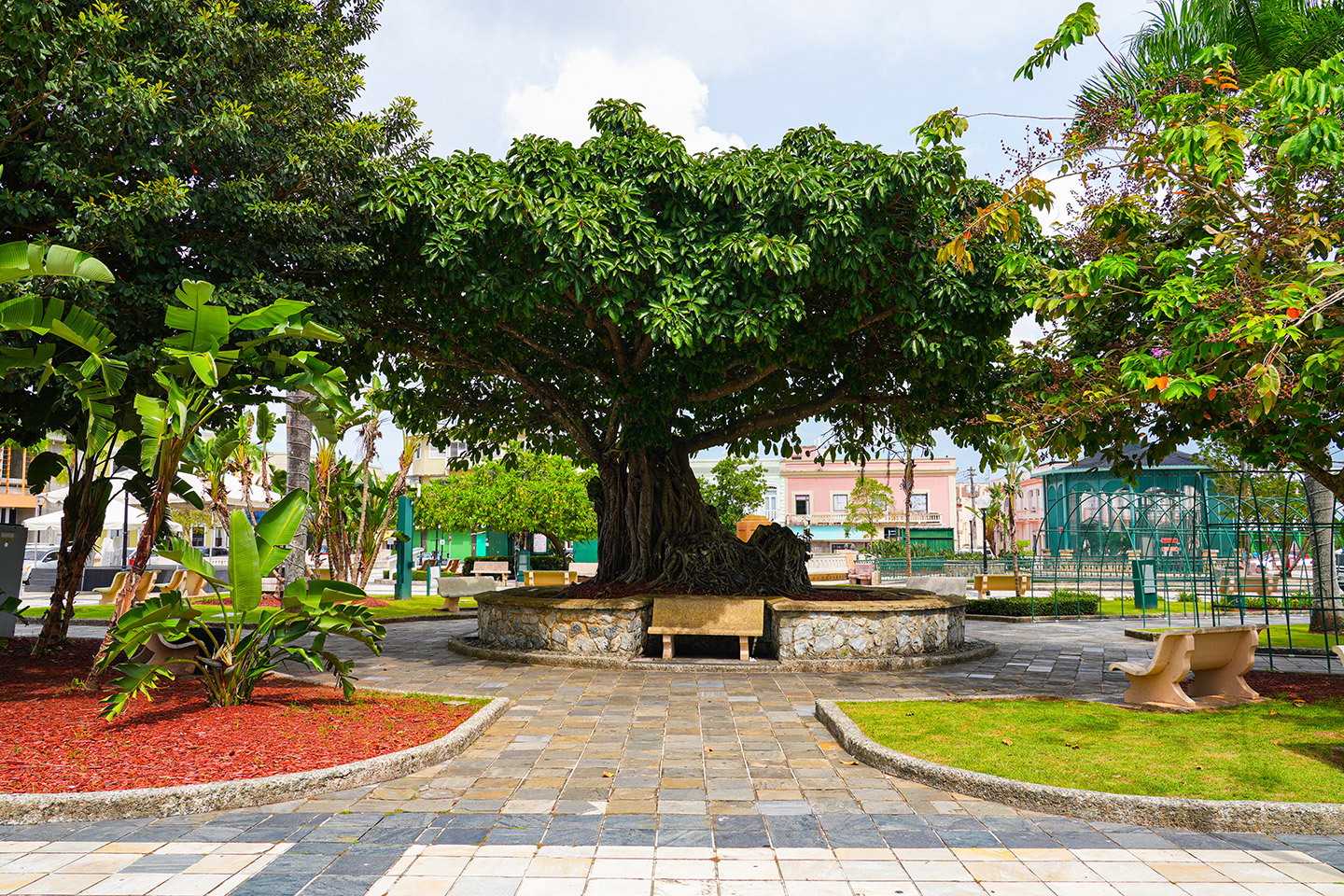 Caguas: identidad criolla y capital gastronómica
