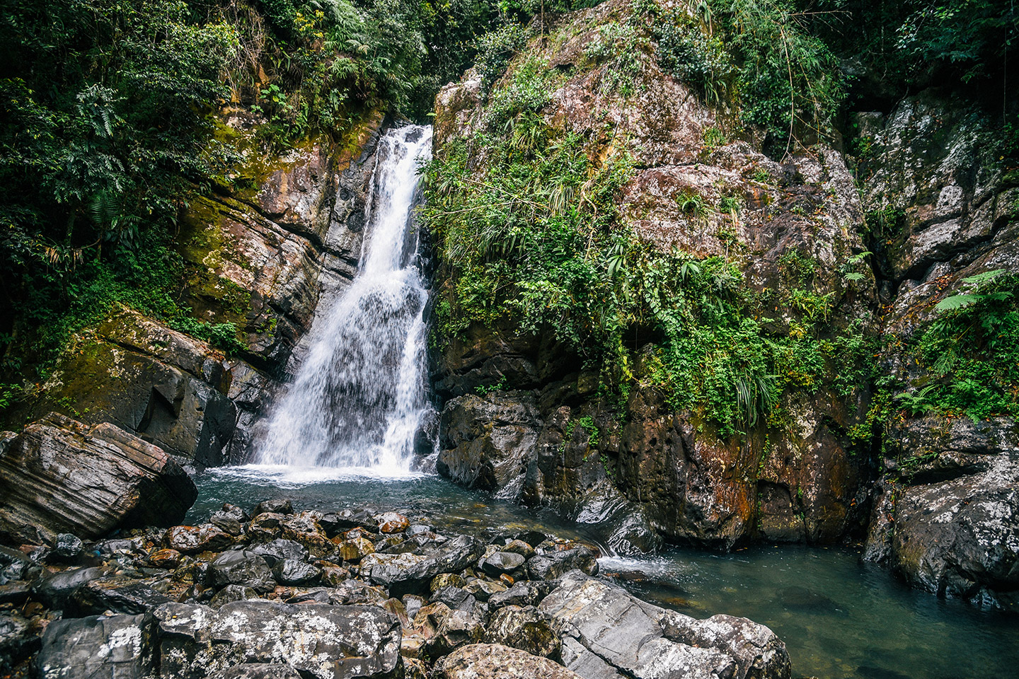 El Yunque, el único bosque tropical lluvioso del sistema de parques nacionales de Estados Unidos.