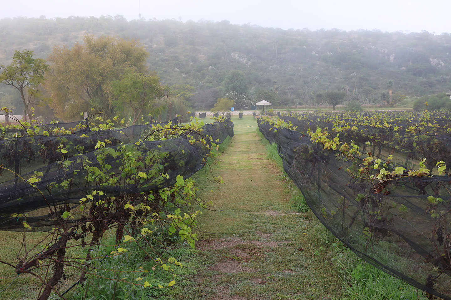 Haciendas_Querétaro_Tovares_2