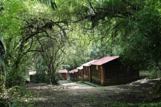 Paraísos Indígenas en Veracruz que sanan el cuerpo y el alma