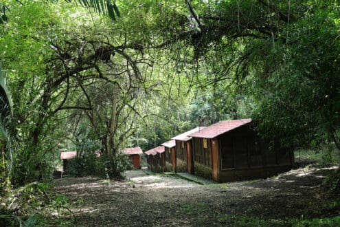 Paraísos Indígenas en Veracruz que sanan el cuerpo y el alma