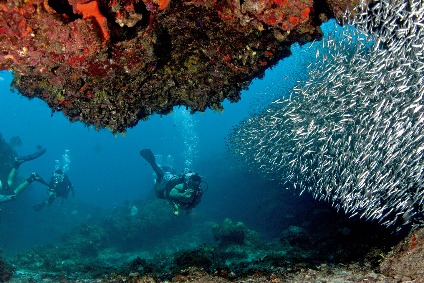 Quintana_Roo_Camino_del_Agua_Mahahual_Chinchorro Mahahual y el Banco Chinchorro en El Caminon del Agua