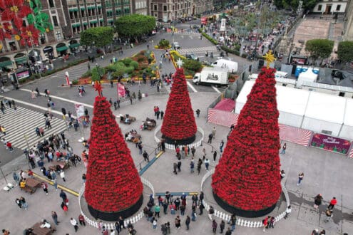 Temporada navideña: ¿Qué hacer del 15 al 21 de diciembre en CDMX?