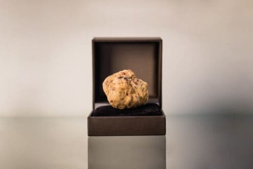Estos son los 6 ingredientes caros más exclusivos del mundo